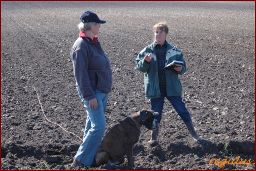 Fährtenprüfung Nordholz Frühjahr 2011